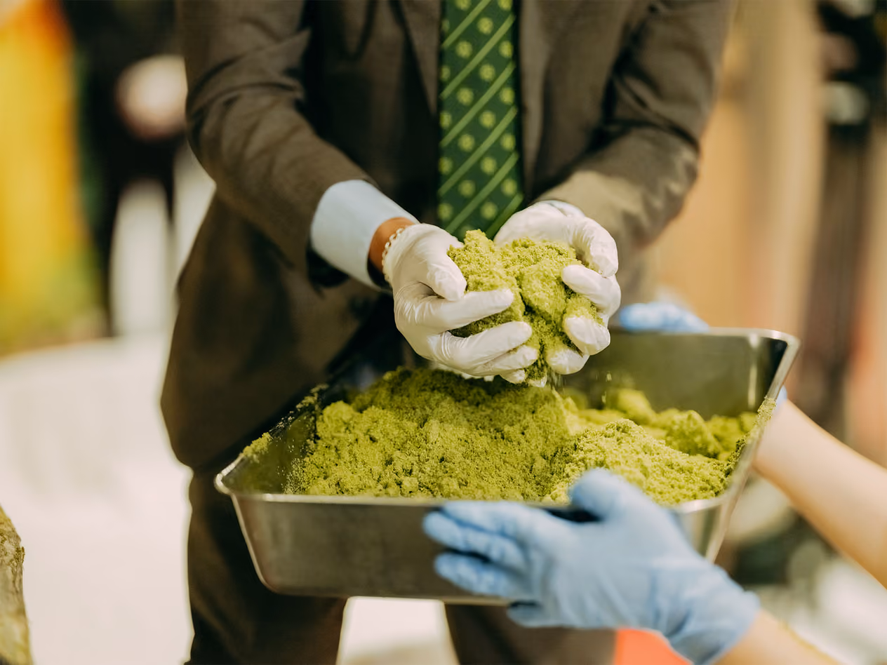 Frozen hops used in KIRIN ICHIBAN TORETATE HOP